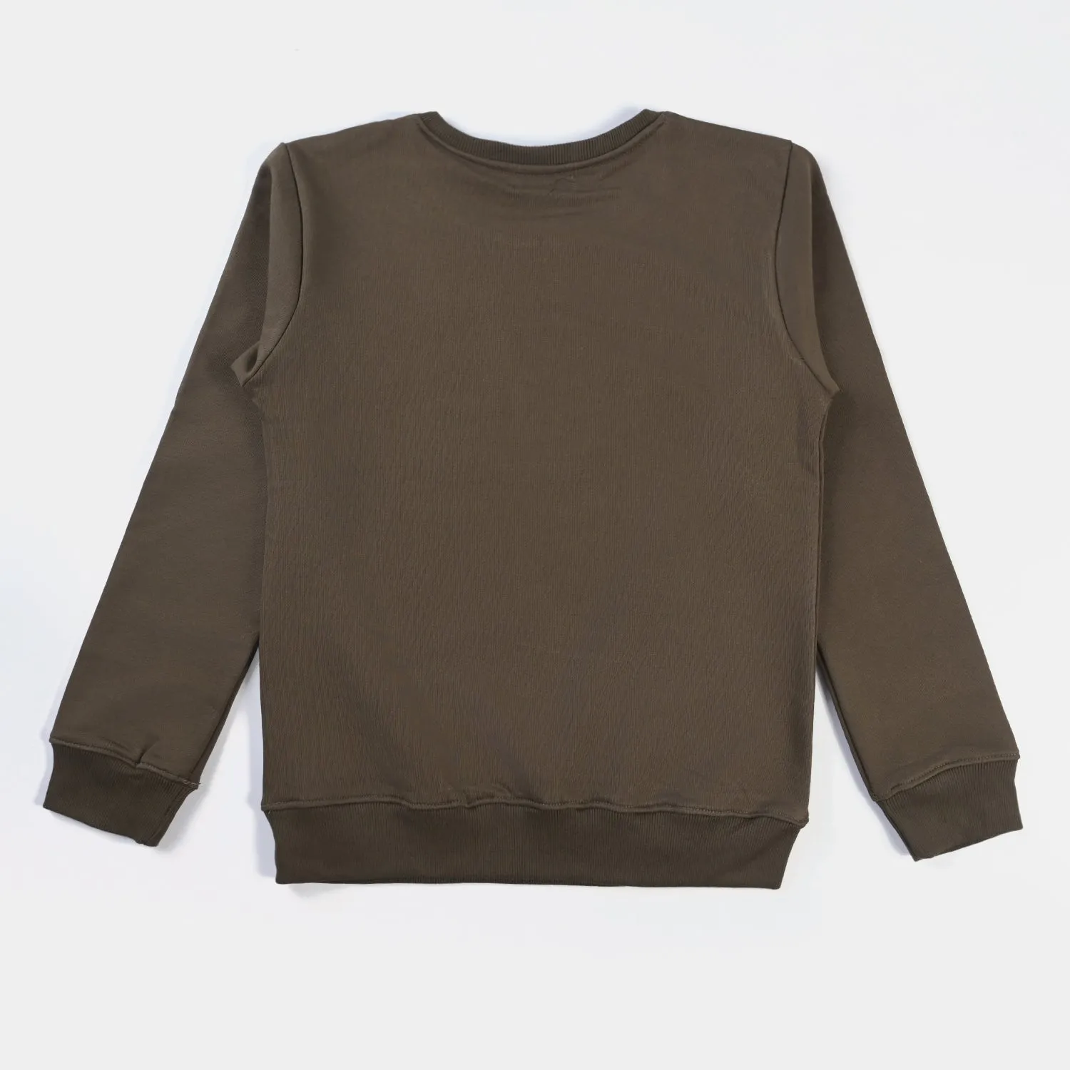 Teens Boys Fleece Sweatshirt New York-Olive